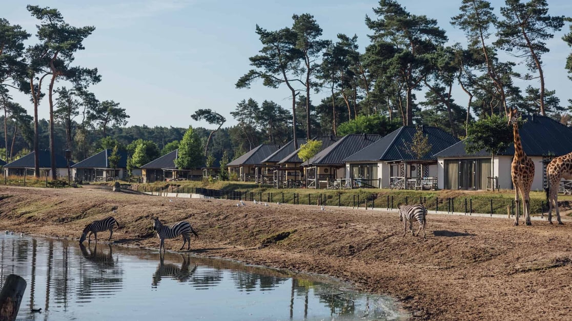 Beekse-bergen-lodges-aan-het-water