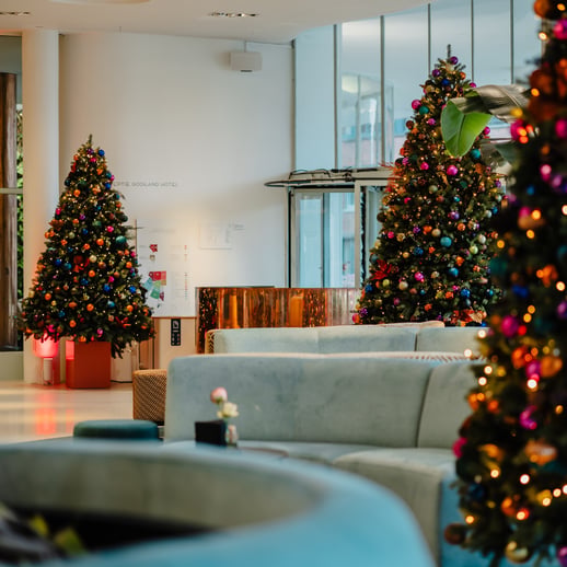 HEADER Kerstbomen _ Gooiland _ Fotograaf Jeancarlo Nunes dos Anjos