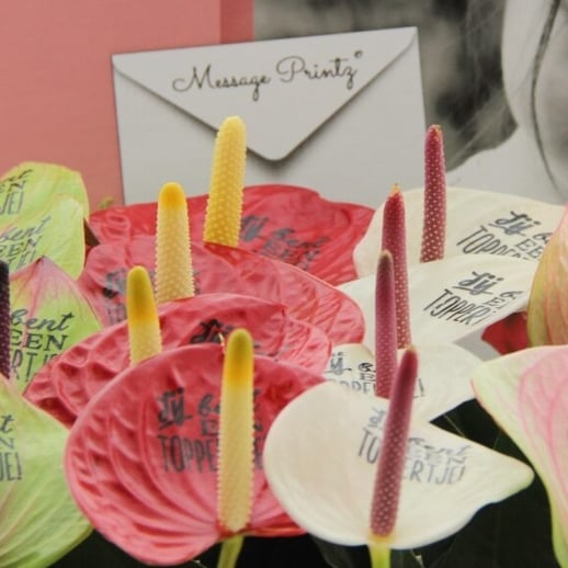 Orchideen-met-tekst-jij-bent-een-toppertje-tekst-relatiegeschenk-bloemen-en-planten-1200x675