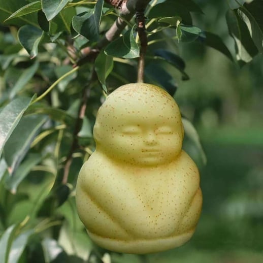 fruit-vorm-op-maat-event-inspiration-5-1600x1200