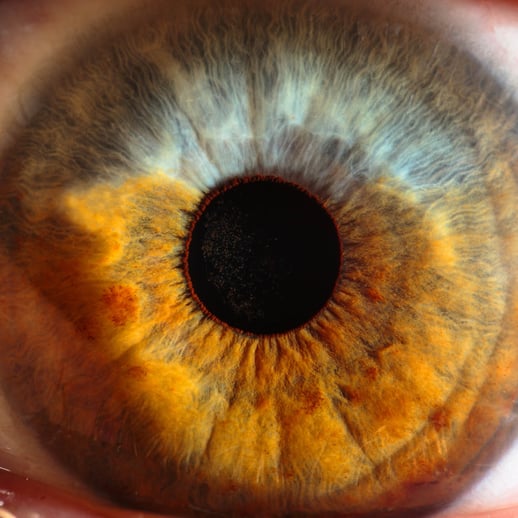 gespot _ event inspiration _IMG_1003