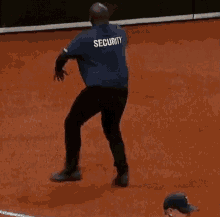 tampa-bay-rays-security-guard-security-guard